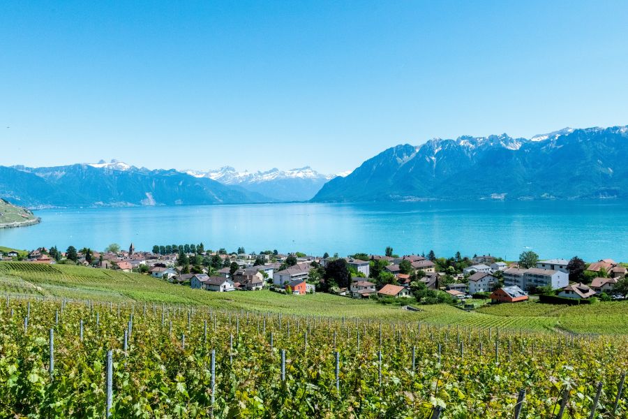 Lake Geneva A small village by the lake with a beautiful vineyards in Vaud, Switzerland switzerland,cully,blue