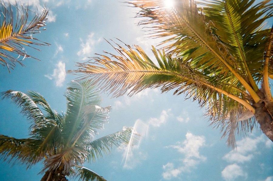 heatwave summer Freeport Film 
