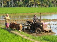 farmer agriculture Ploughing 
