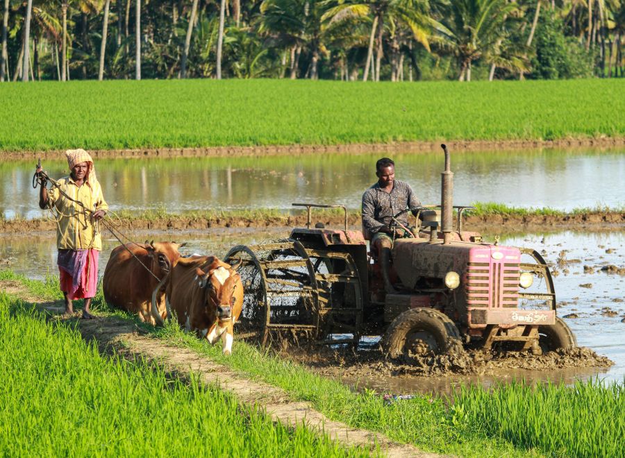 farmer agriculture Ploughing 