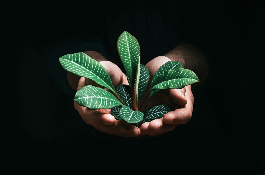 Neutrality sustainability  