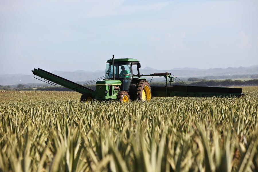 Harvest crops  tractor,field,harvest