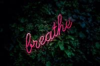 Social supports Breathe Amsterdam, @ Kimpton De Witt Amsterdam neon,sign,quote