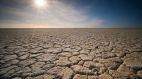 Heatwave drought  