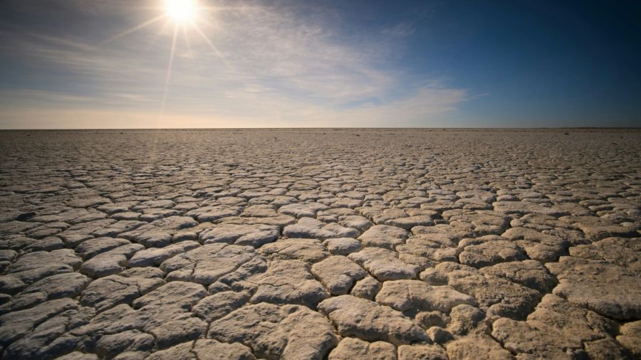 Heatwave drought  