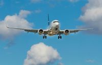 airplane West Jet 737 