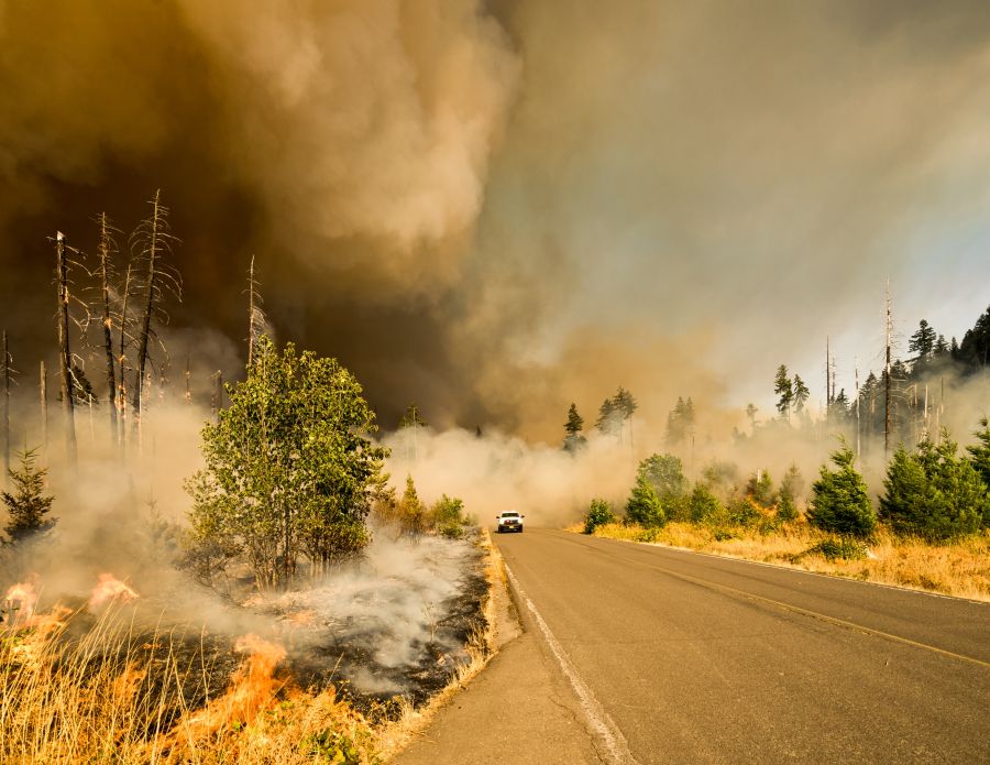 Wildfire We were on our way to a lookout to photograph activity on the Jones Fire as part of our work for the fire management team. We heard radio traffic about a spot fire that has jumped the road we were traveling on. We drove up to find controlled chaos and very active fire. I jumped out with fire gear on and started shooting. I like this shot because it tells the whole story in one frame. big fall creek road,current events,natural disaster