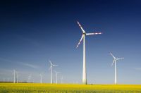 Sustainability Wind turbines in the rape seed field 