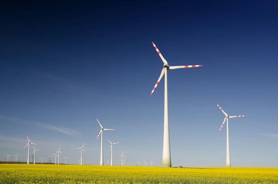 Sustainability Wind turbines in the rape seed field 