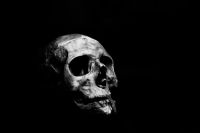 skull human skull in black - proud of death 