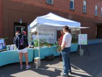 Farmers Customers check out a microgreens seller's stall in Pocatello, Idaho. 