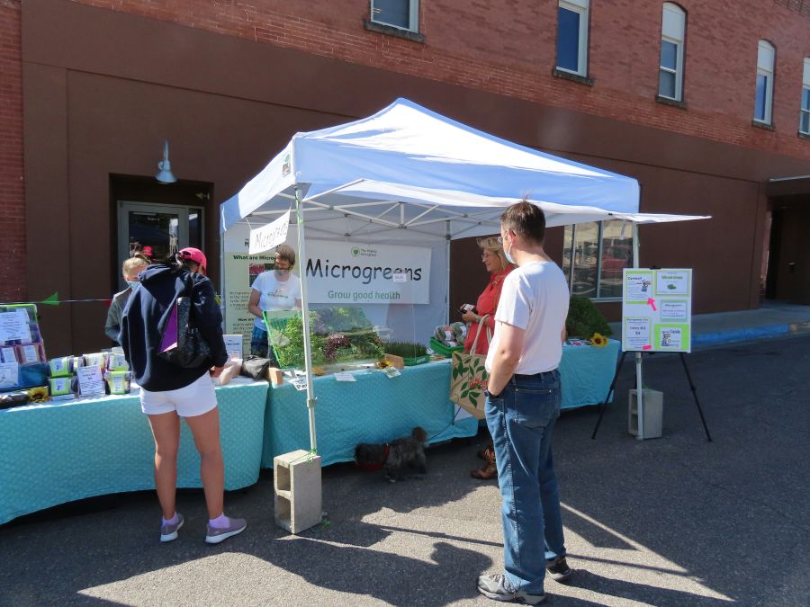 Farmers Customers check out a microgreens seller's stall in Pocatello, Idaho.