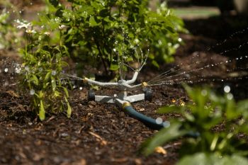 watering incident A sprinkler waters a mulch covered outdoor garden area.