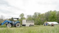 Meat truck First-generation farmers at Pasture Song Farm Pottstown, PA prepare to release a trailer load of chickens onto pasture for the first time. Pasture Song is a small-scale, sustainable meat and cut-flower farm.

More photography at http://zoeschaeffer.com and http://instagram.com/dirtjoy
More from the farm at http://pasturesongfarm.com

#regenerativeagriculture #organicfarming #regenerativefarming #farming #youngfarmers #flowerfarm  truck,usa,pasture song farm