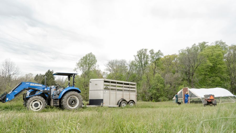 Meat truck First-generation farmers at Pasture Song Farm Pottstown, PA prepare to release a trailer load of chickens onto pasture for the first time. Pasture Song is a small-scale, sustainable meat and cut-flower farm.
More photography at http://zoeschaeffer.com and http://instagram.com/dirtjoy
More from the farm at http://pasturesongfarm.com
#regenerativeagriculture #organicfarming #regenerativefarming #farming #youngfarmers #flowerfarm truck,usa,pasture song farm