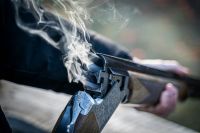 shooting violence A double barreled shotgun that has recently been fired 