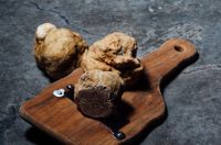 truffles Alba white truffles 
from Chef Mirko Febbrile truffle,brown,plant