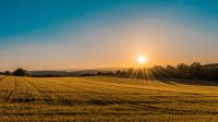 Countryside  landscape,sunrise,farm