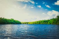 river  