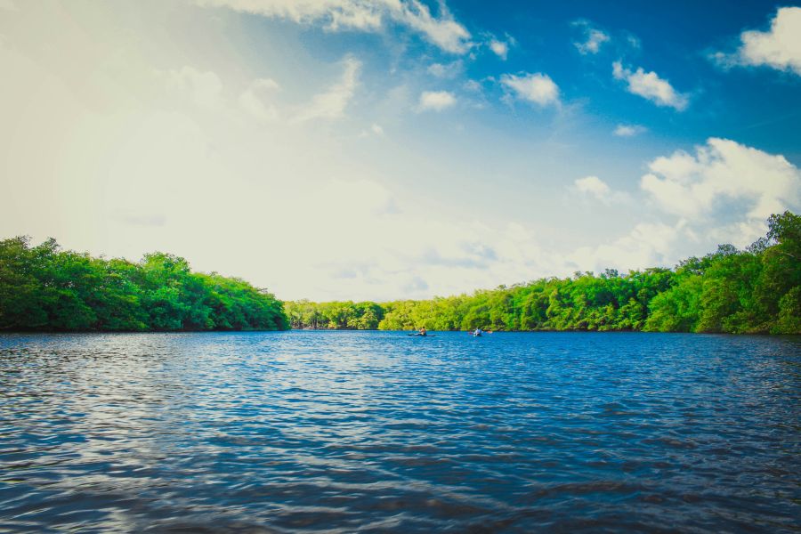 river  