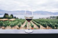 Wine A very educational (and tasty) weekend can be had if you explore the wine region of the Okanagen Valley in Canada.