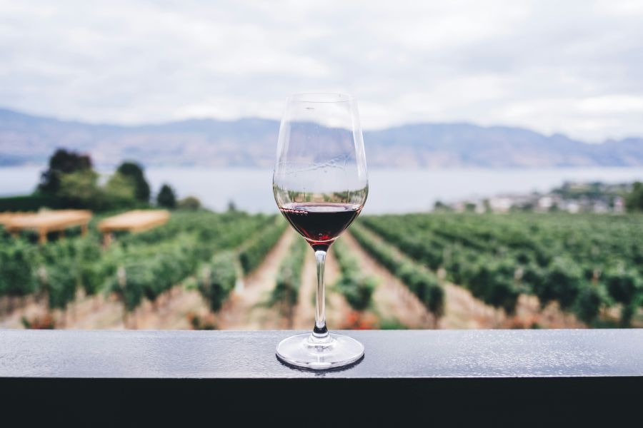 Wine A very educational (and tasty) weekend can be had if you explore the wine region of the Okanagen Valley in Canada.