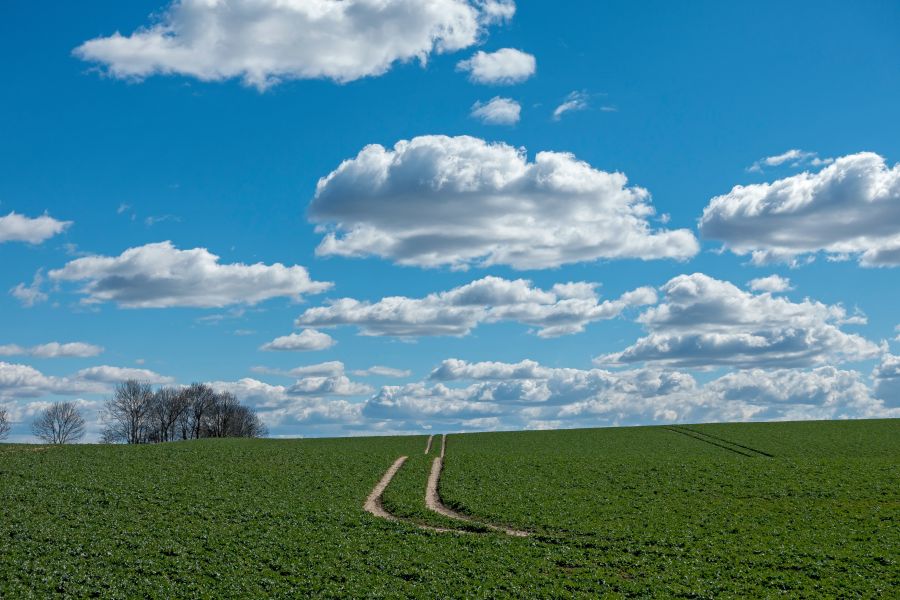 Sunny weather green fields on a sunny day in spring nature,cloud,field