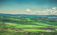 Cattle fair Looking out over the Glens of Antrim toward the Sperrin Mountains from Fair Head (Jun., 2020). northern ireland,ballycastle,fair head