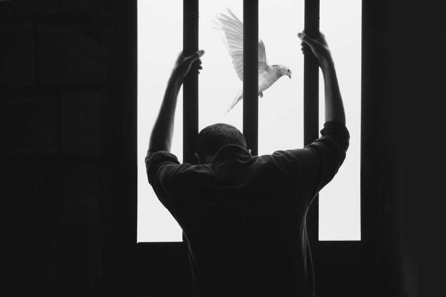 Prison A Man in Prison and Bird Flying Freely prison,bird,prisoner