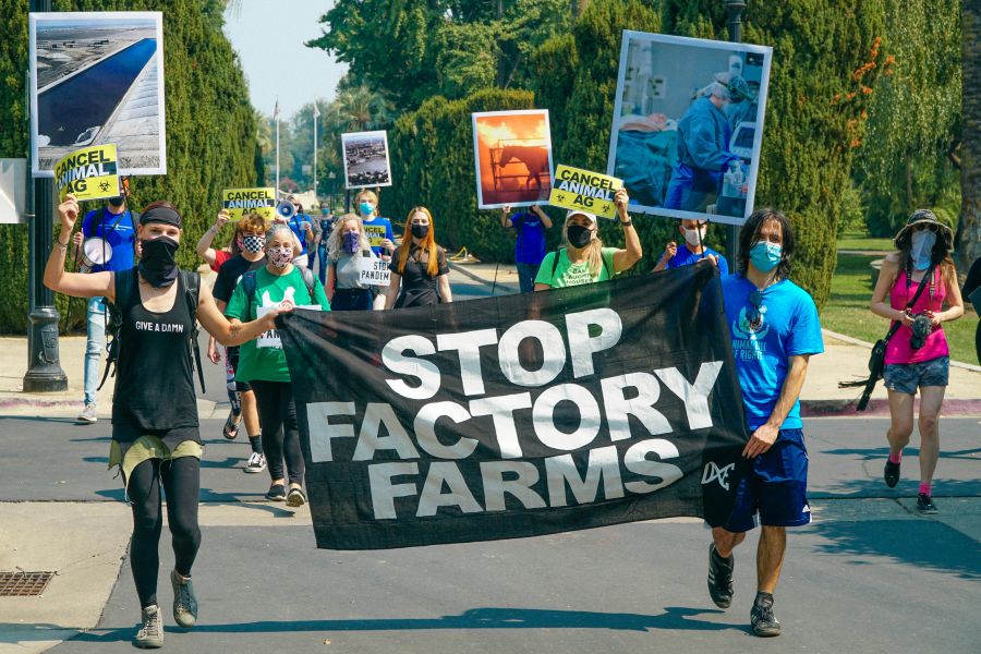 Agricultural protest Animal Rights activists from Direct Action Everywhere protest in Sacramento to stop factory farms the negative effects on the climate crisis, is the contribution to pandemics, like covid-19 and animal cruelty. sacramento,california state capitol museum,10th street