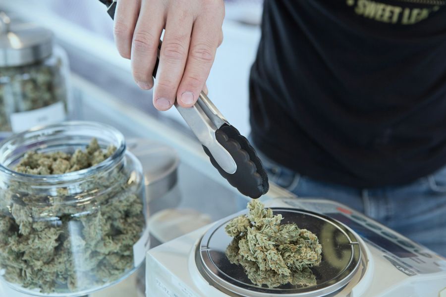 cannabis  