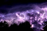 Thunderstorm Lightning and trees purple,nature,storm