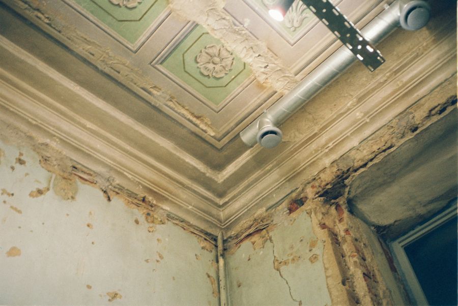 Mold  
