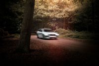Speeding driving Volvo V60 driving in nature car,automobile,transportation