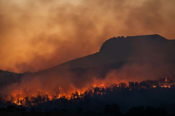 Fire Wildfire Bushfires below Stacks Bluff, Tasmania, Australia 